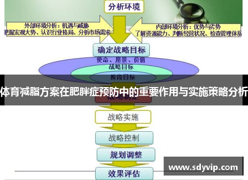体育减脂方案在肥胖症预防中的重要作用与实施策略分析